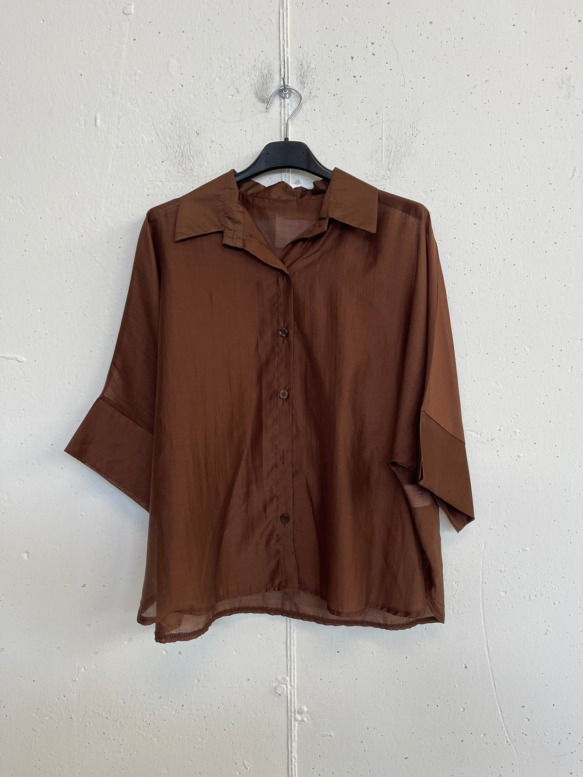 Camicia classica trasparente