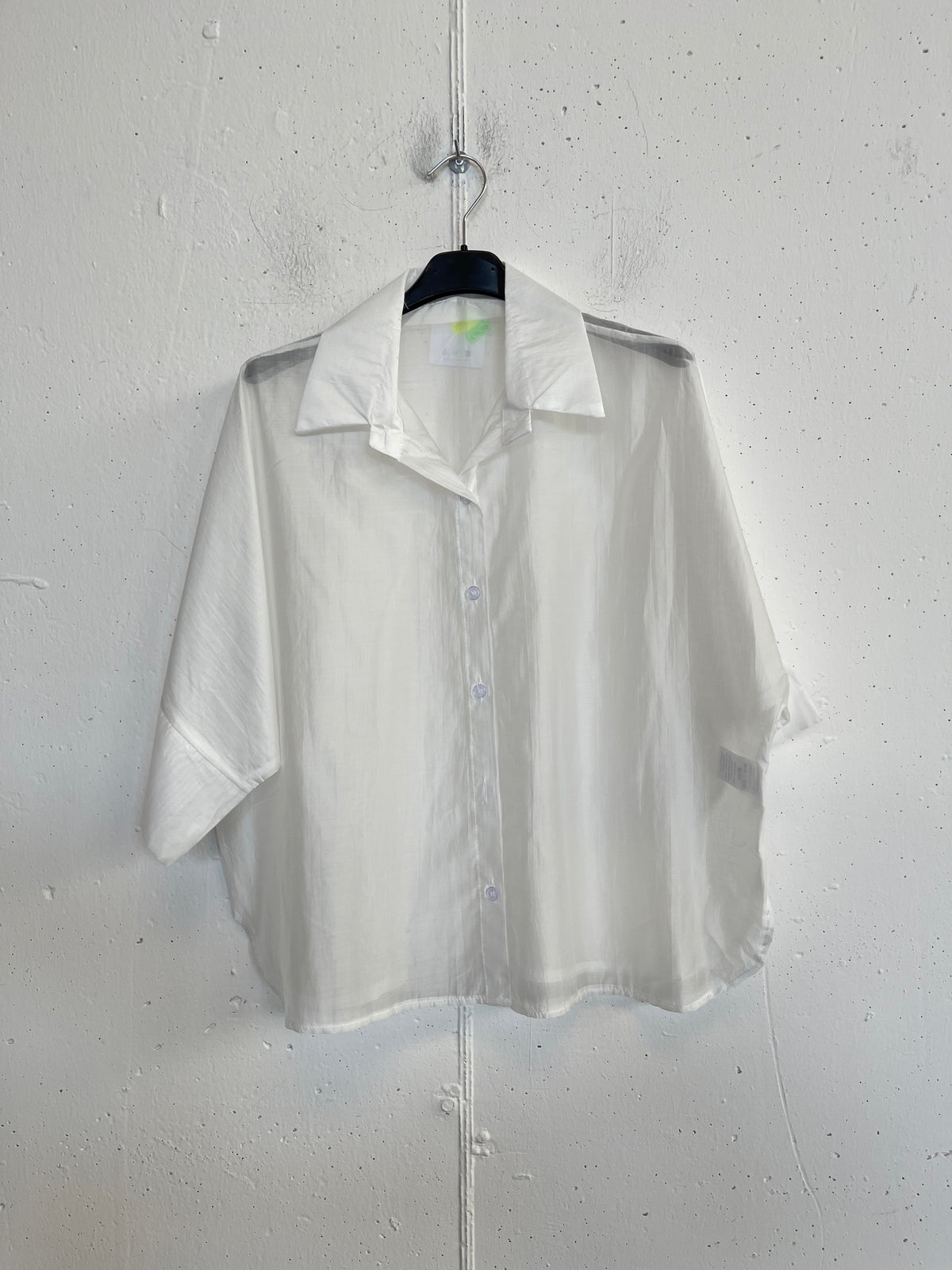 Camicia classica trasparente