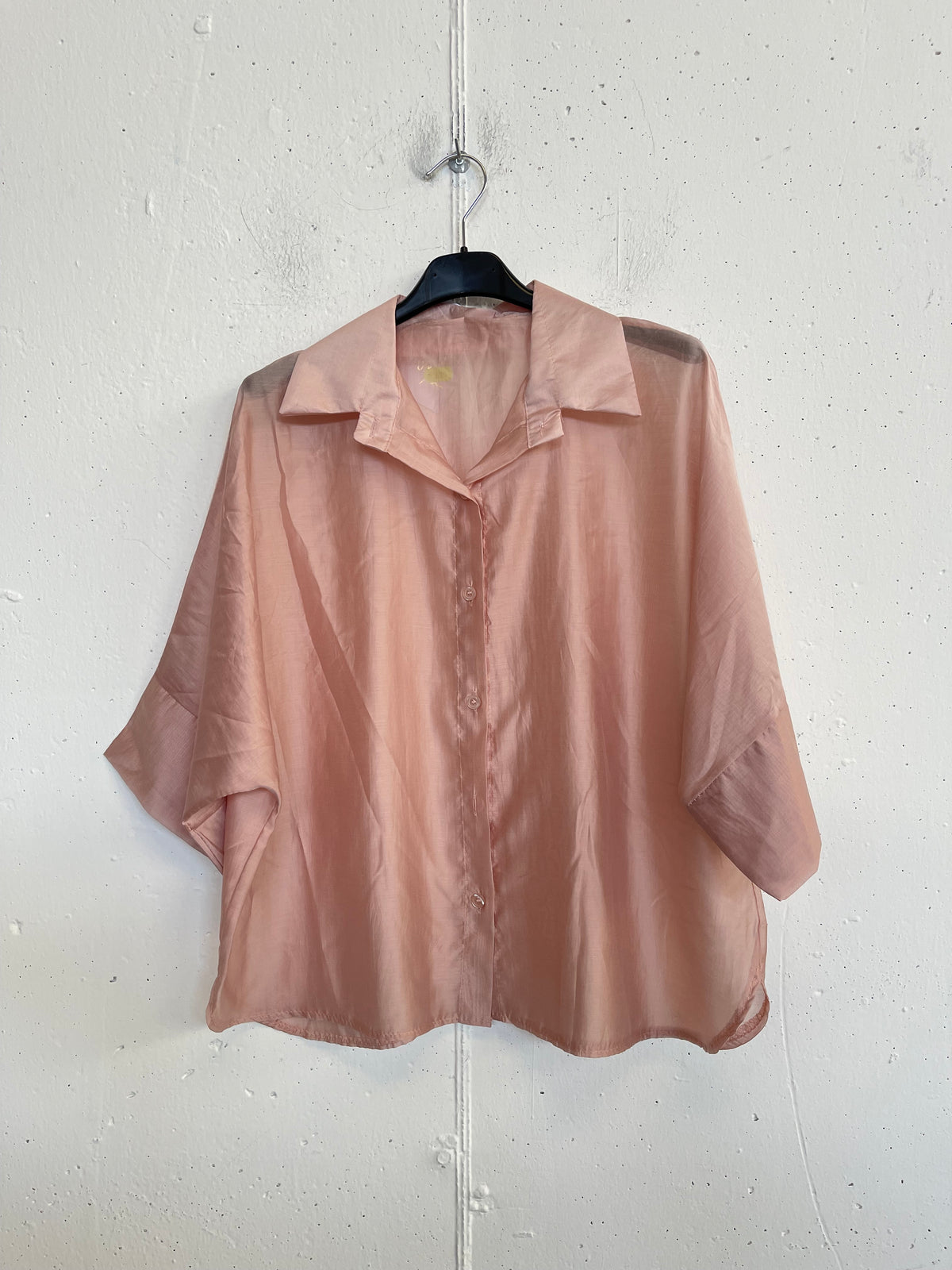 Camicia classica trasparente